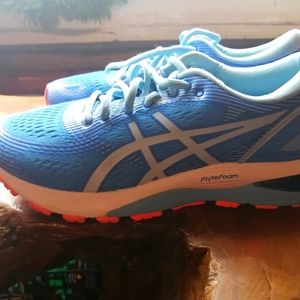 Asics Gel Nimbus 21